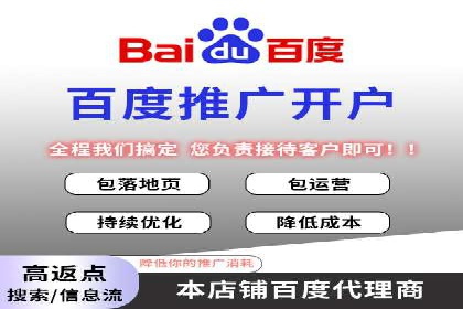 竞价排名的投放策略与效果评估案例